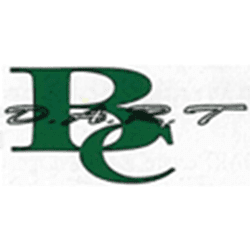 Brightside Drug Abuse Rehabilitation & Treatment Centre logo