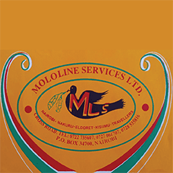 Mololine Services Ltd logo