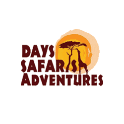 Days Safaris Adventures logo