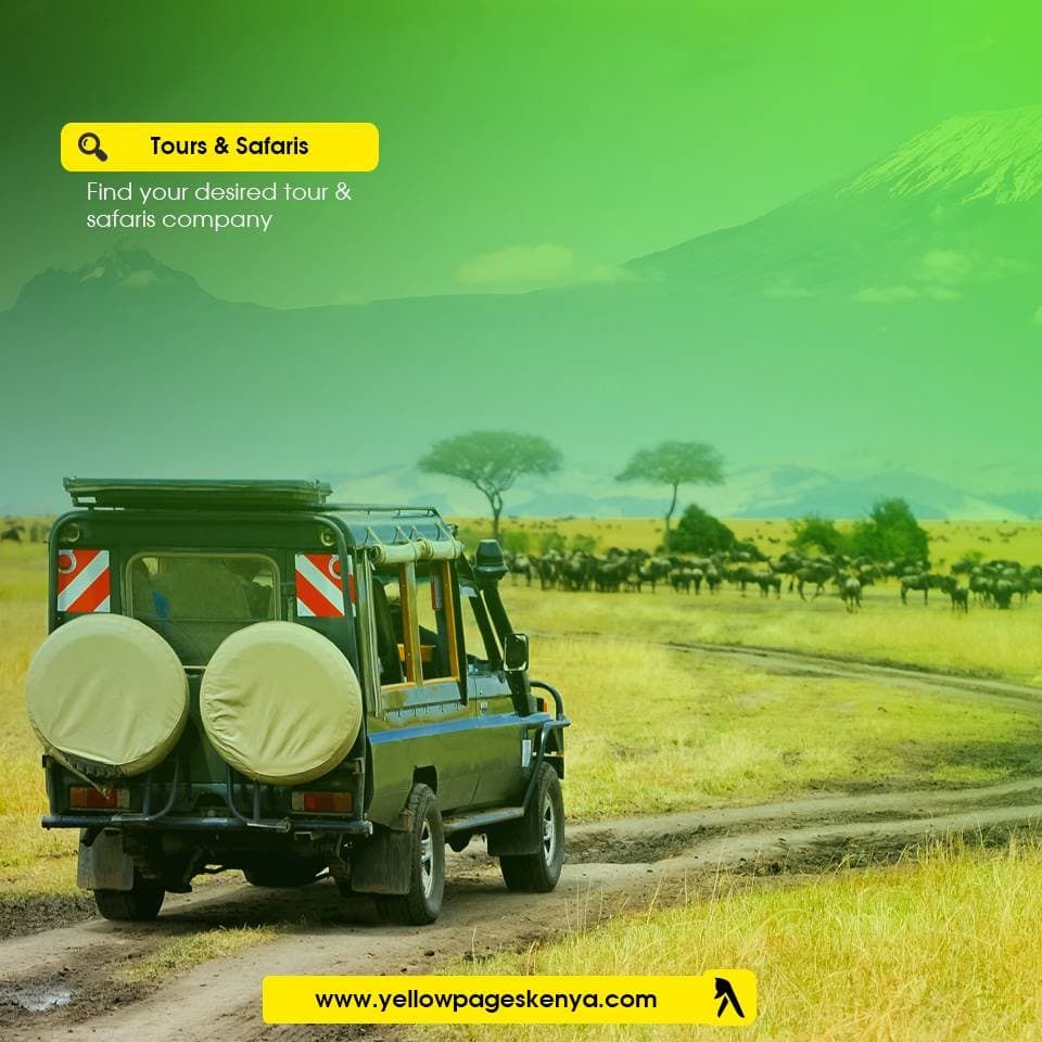 Tours and safari Tours and safari